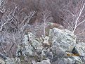 IMG 7271