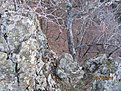 IMG 7272