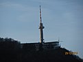 IMG 7275