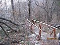 IMG 7280