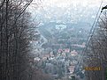 IMG 7282