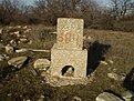 P1010049