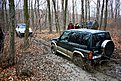 IMG 0921