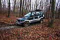 IMG 0930