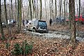 IMG 0941