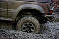 IMG 0944