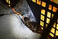 IMG 0972