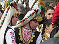 IMG 9864