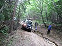IMG 2600