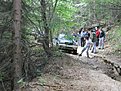 IMG 2601