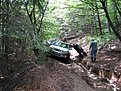 IMG 2610
