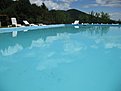 IMG 2638