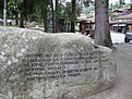 IMG 2692