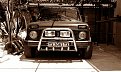 IMAG0554