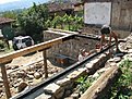 IMG 6896