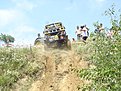 DSC03767