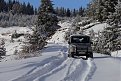 IMG 4590