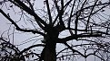 DSC 0703http://www.offroad-bulgaria.com/album.php?albumid=2821&attachmentid=770130