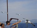 DSC06681