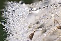 DSC 7773 copyhttp://www.offroad-bulgaria.com/album.php?albumid=3527&attachmentid=803877