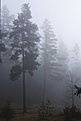 DSC 8508http://www.offroad-bulgaria.com/album.php?albumid=3531&attachmentid=805076