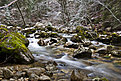 DSC 8590http://www.offroad-bulgaria.com/album.php?albumid=3531&attachmentid=805078