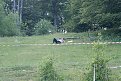 DSC00970
