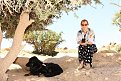 IMG 3241