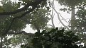 IMG 0065a