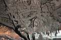DSC 1116