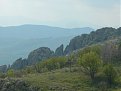 P1170722