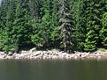 IMG 20150712 114701