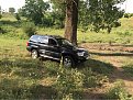 IMG 1915