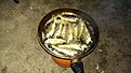 IMAG0439