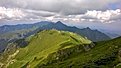 Купена.Това острото в средата..